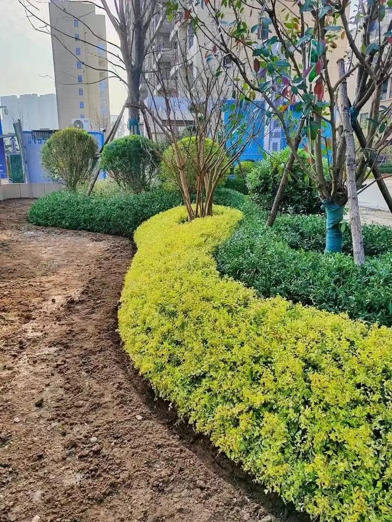 綠化工程4