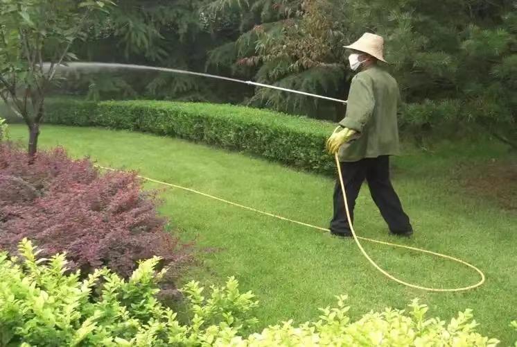 綠化養(yǎng)護2